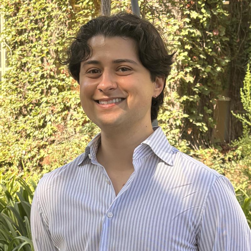 Alekos Kapur Portrait